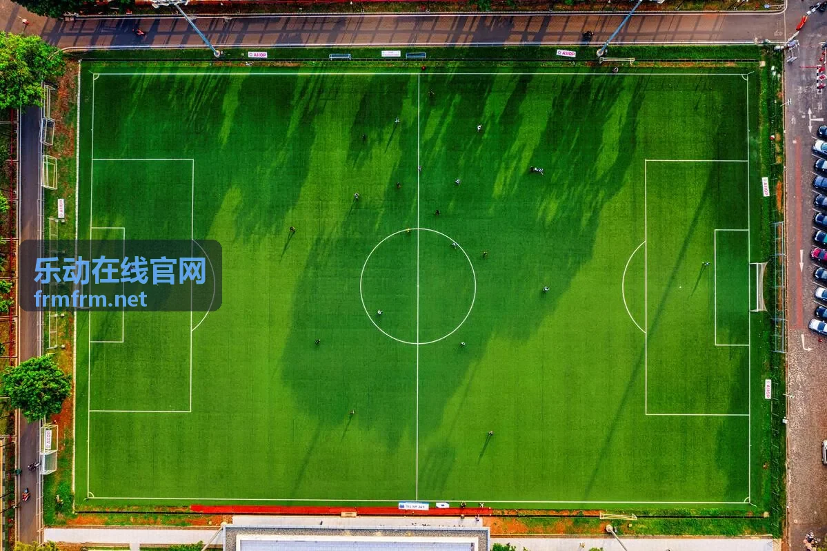 乐动在线官网高清赛事直播画面